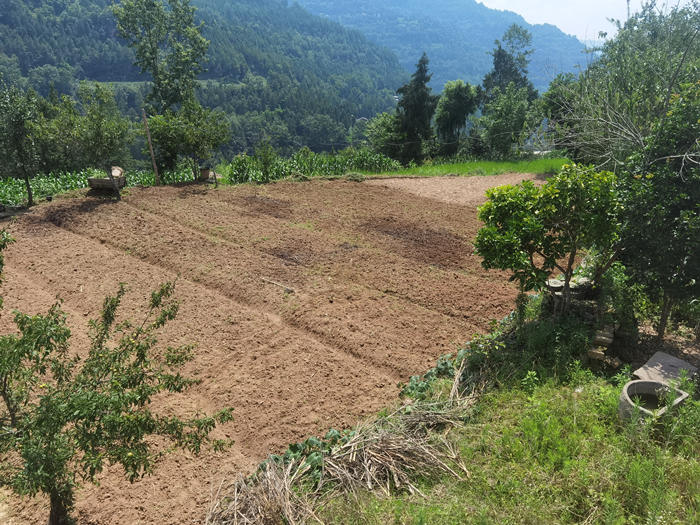 1657071214977088.jpg 111_副本.jpg